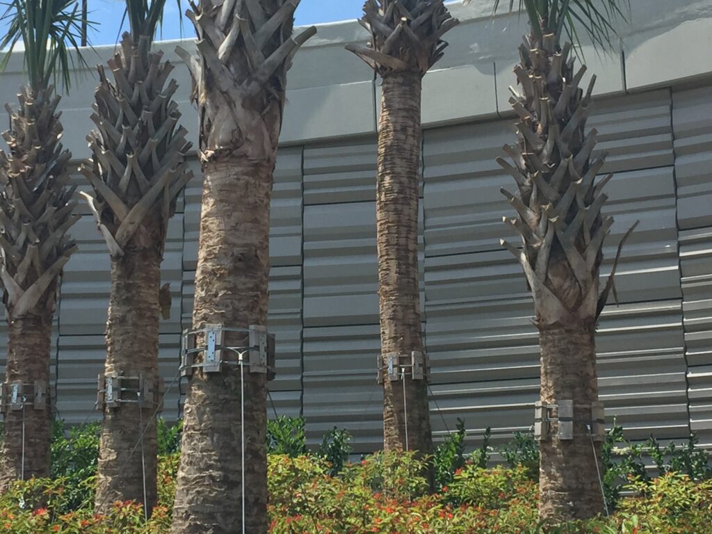 Disney – Tricon Precast LTD. - RWH Const. Lake Buena Vista – Western Way Ext.